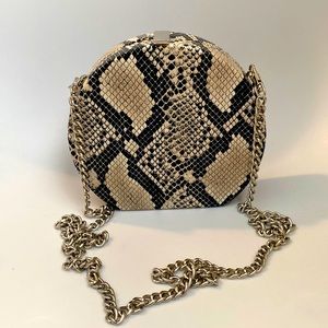 Faux snakeskin crossbody or clutch.